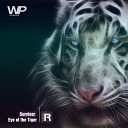 Survivor - Eye Of The Tiger Wiliam Price Radio Remix