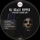 DJ Scale Ripper - Twin Prime Conjecture