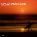 Hawaiian Music of Nature - Hawaii Tropical Rain for Pure Sound Thearpy Hawaii Quiet Rolling…