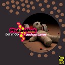 Joshua Lavin - Let it Go Original Mix