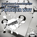 Javi Rodenas Jesus Mondejar feat Aaron Mayk - I Wonder Why Original Vocal Mix