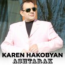 Karen Hakobyan - Toghecir Karot