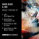 David Glass - Everybody s Fly Original Mix