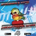 Mizantrope Элби - Птицы Struzhkin Vitto Remix