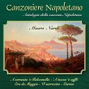 Mauro Nardi - A serenata e pulecenelle