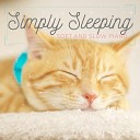 Piano Cats - The Keys to Simple Sleep