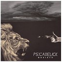 Psycadelick feat MCM - Salut salaud