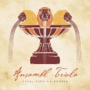 Ansambl Triola - A la villa voi