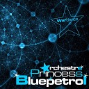 Orchestre Princess Bluepetrol - Transition 31