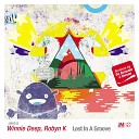 Winnie Deep Robyn K - Lost In A Groove Da Brownie Dub