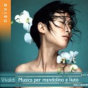 Brigitte T ubl Laura Johnson Lorenz Duftschmid Manfredo Kraemer Pablo Valetti Rolf… - Concerto for Viola d amore and Lute in D Minor RV 540 III…