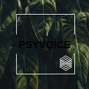 Psyvoice - Fire