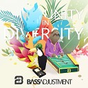 Bass Adjustment feat J BiRD The Straybird - Unity in Diversity All in Together Now