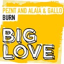 PEZNT Alaia Gallo - Burn Extended Mix