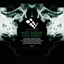 Matt Sassari - Junk Modul Pulse Plant Remix