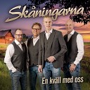 Sk ningarna - Ingen annan e som du