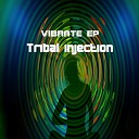 Tribal Injection - Vibrations Original Mix