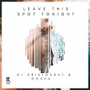 DJ Aristocrat Gosha - Leave This Spot Tonight Original Mix