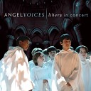 Libera feat Edward Day Joshua Madine Michael… - I Vow to Thee My Country