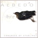 Congress of Starlings - Shapeshifter