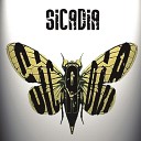 Sicadia - Say No More