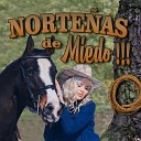 Los Norte os del Bajio - Corrido de Telesforo y Teodoro