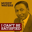 Muddy Waters Friends - Train Fare Home Blues