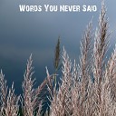 Tilla Dickens - Words You Never Said