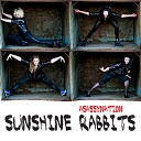 Sunshine Rabbits - Asassynation