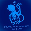 Organic Noise From Ibiza - New Dawn Original Mix