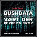 Bush Data feat Snorre Kev In Space - V rt der peppern gror