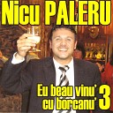 Nicu Paleru - Astazi Vreau Sa Ma Fac Praf