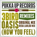 3 Bird - Oasis (How You Feel) [Reda Lahlou Freaky Beats Remix]