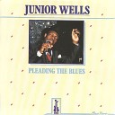 Junior Wells feat Buddy Guy Orchestra - Take Your Time Baby