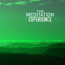 Meditation Experience - Forest Sounds at Night