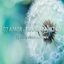 Dj Amor - Frame of Mind Dj Denis OldMan Remix