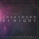 Shakedown - At Night Shnaps Kolya Funk Remix