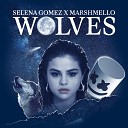 Selena Gomez Marshmello - Wolves 2017 Pop Stars