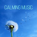 Odyssey for Relax Music Universe - Happiness