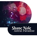 Shane Nole - The Secret of Healing