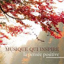 Xavier Calme - Musique qui inspire la pens e positive