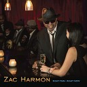 Zac Harmon - Stand Your Ground