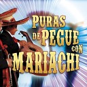 Mariachi Nuevo de Tecatit n - Sobre Las Olas