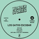 Los Gatos Escobar - Into You