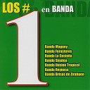 Banda Ilusion Tropical - Carinito De Mi Vida