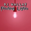 Dj Wallay Ohmz The Don Ray Bandz Silas feat Frost… - Flashing Lights