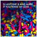DJ Antoine Mad Mark - If You Want My Love Radio Edit