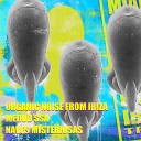 Organic Noise From Ibiza Medud Ssa - Naves Misteriosas Dub Club Mix