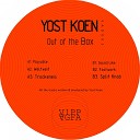 Yost Koen - Sound Like Original Mix
