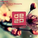Aerotek - Endless Cherry Blossoms Original Mix